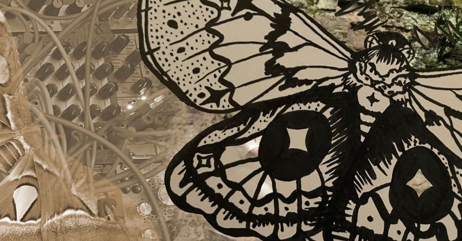 Pools - Sun, Jan 21 - MOTHS // Modular On The (Human) Spot: Movement to ...