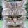 Geraldine