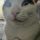 Ammy